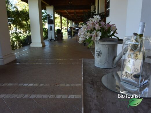 Casas del Bosque Exclusive - Imagen 3